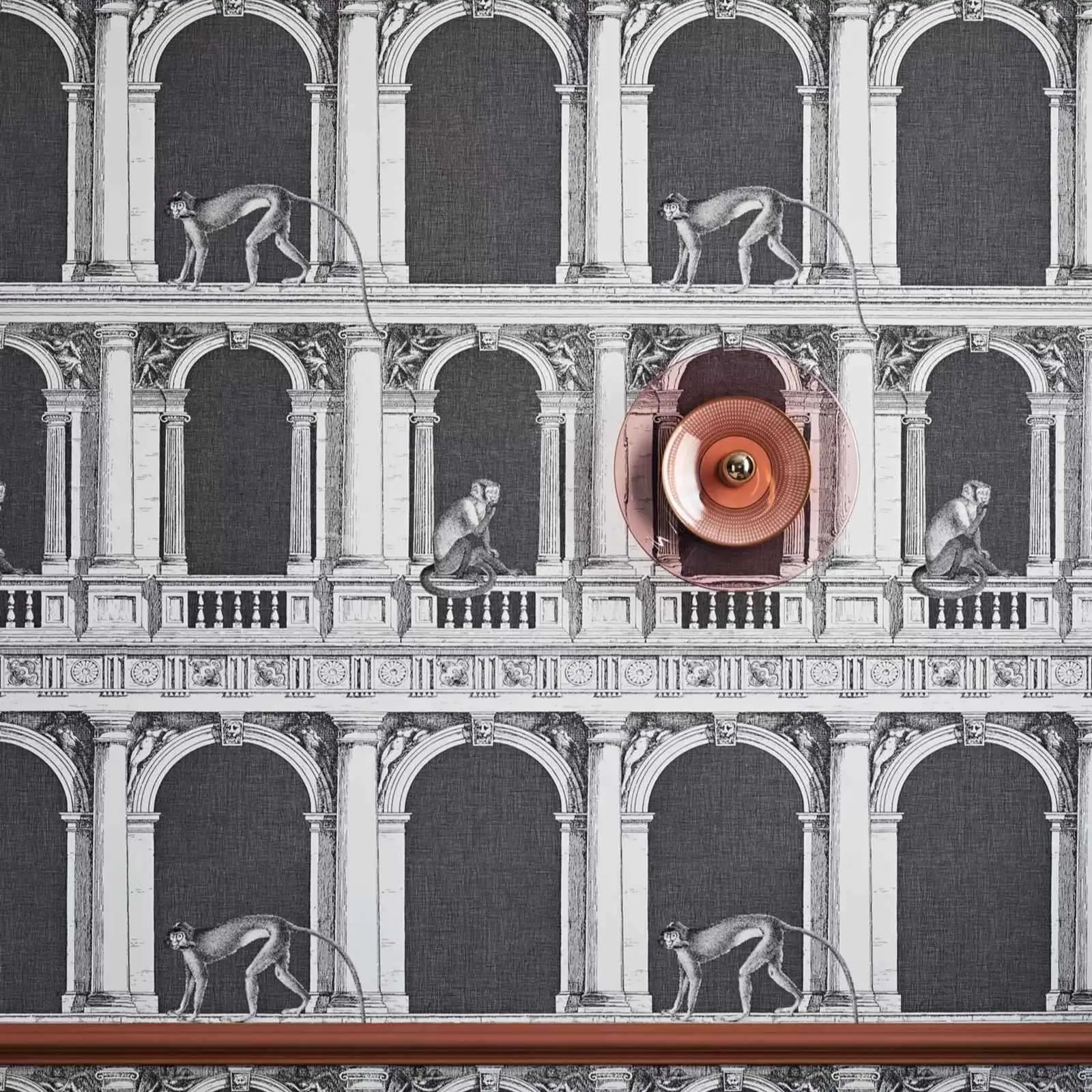 Procuratie e Scimmie Papel de Parede em Preto e Branco Macaco no Antigo Palácio Nórdico Papel de Parede Estilo Escandinavo