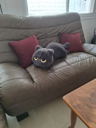 Pelucatto Fofeza® de Pelúcia