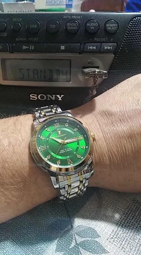 POEDAGAR Luxury Watch for Men photo review