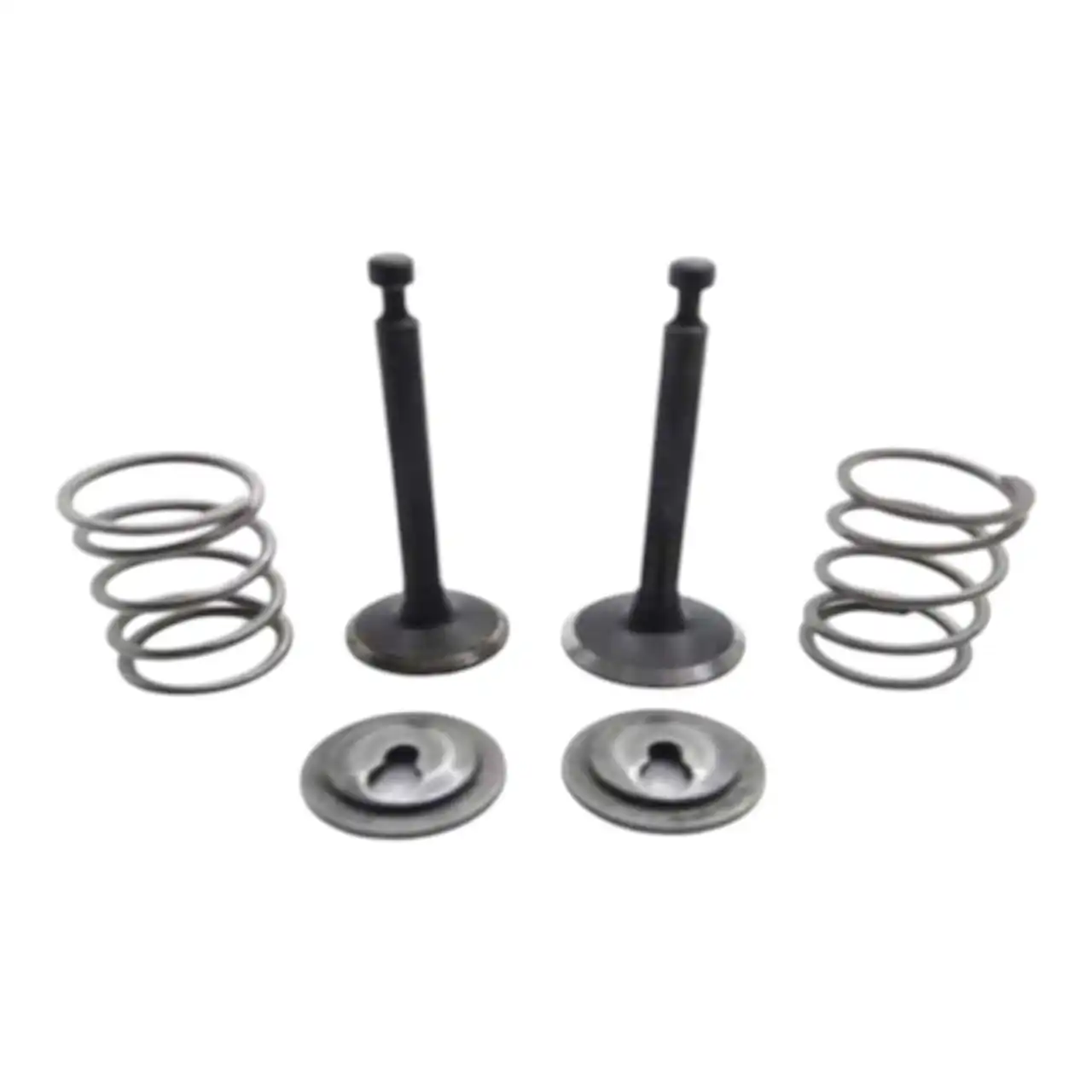 RAOSA Kit de Valvulas de admisión para GX35