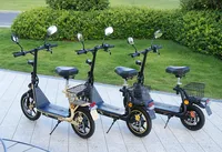 TWOFISH M5 Elite-E Scooter électrique 500W moteur 48V 13Ah 14 "pneus 40 km/h vitesse maximale freins à double disque amortisseurs avant et arrière 6