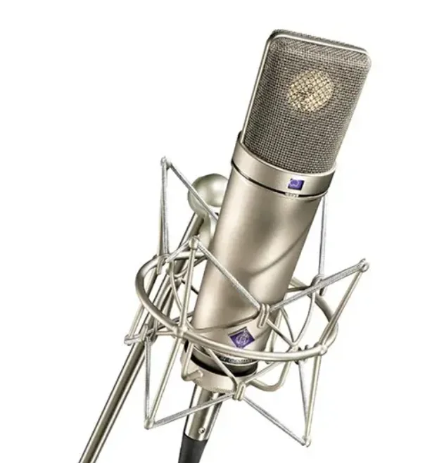 Neuman U87Ai Condenser Microphone Recording