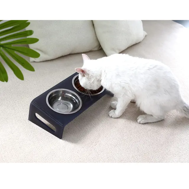 Elevated Pet Bowls, Raised Pet Bowl, Clear Acrylic Feeder Stand for Small  Dogs and Cats, Hot Sale - AliExpress