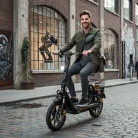 TWOFISH M5 Elite-E Scooter électrique 500W moteur 48V 13Ah 14 "pneus 40 km/h vitesse maximale freins à double disque amortisseurs avant et arrière 5
