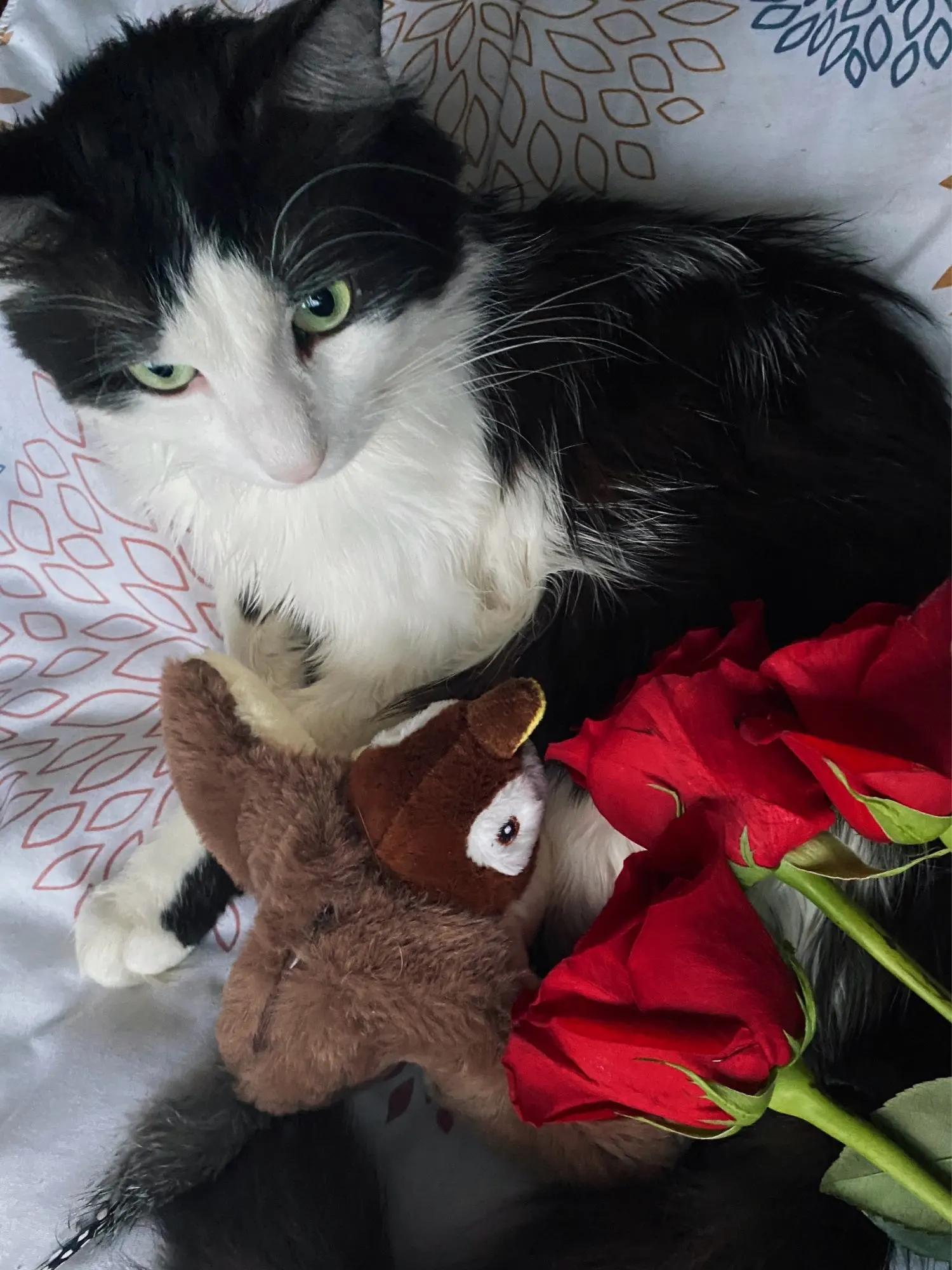 Catnip Squeaky Bird Plush (No Flying) photo review