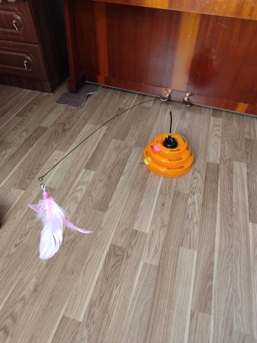 Feather Fun Cat Wand photo review