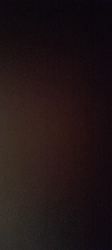 GlowSafe – Leuchtendes Halsband & Leine für maximale Sichtbarkeit bei Nacht photo review