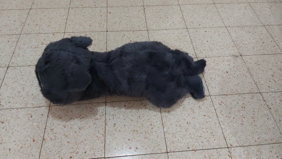 Pelucatto Fofeza® de Pelúcia