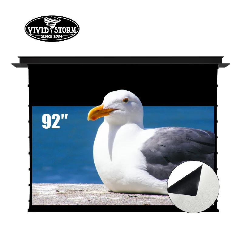 Vividstorm 92 Pollici Elettrico Da Incasso A Soffitto Schermo Del Proiettore Home Cinema Setup Drop Down White Cinema Movie Screen