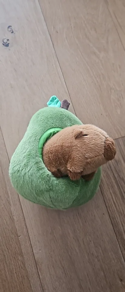 Avocado Capybara Plush Toy, customer photo