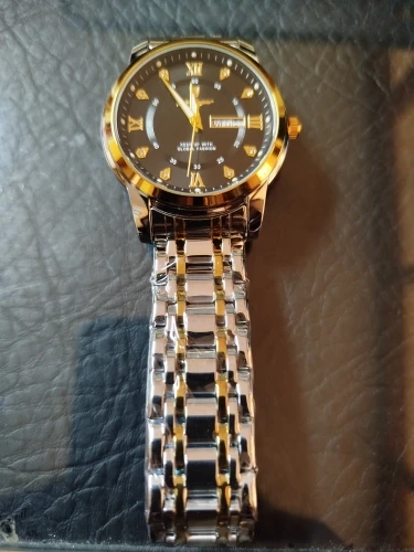 POEDAGAR Luxury Watch for Men photo review