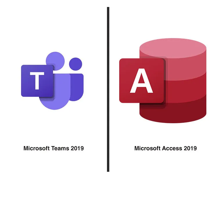 Рисунок 6 - Microsoft Office 2019 Pro Plus