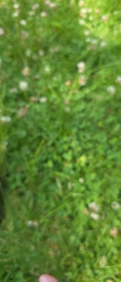 HTC NE40 AI Translator Earbuds | Bluetooth 5.3 Sports Headphones photo review