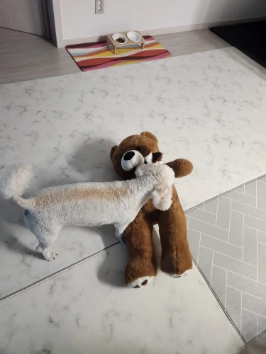 Teddy Bear With Scarf photo review