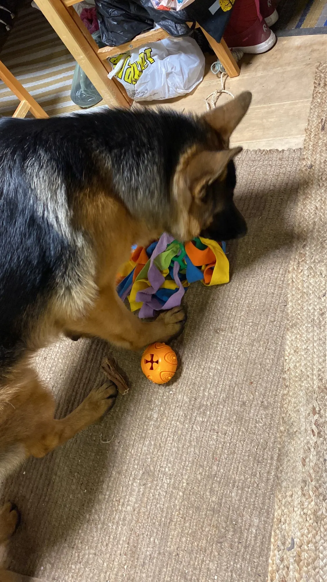 DOG CHEW TOY