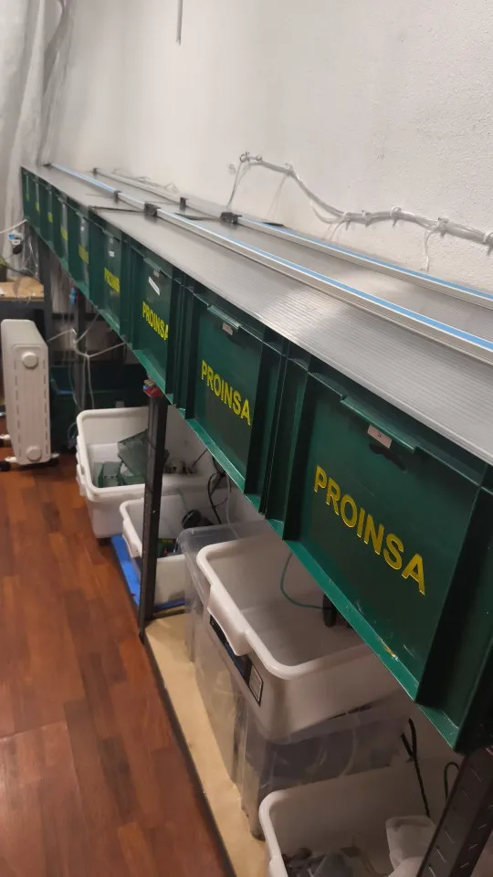 220V LED Strip Lights,120leds/m Led Ribbon Adhesive,Flexible Outdoor Lamp Waterproof LED Tape,Kitchen,Home Room Indoor Lighting photo review