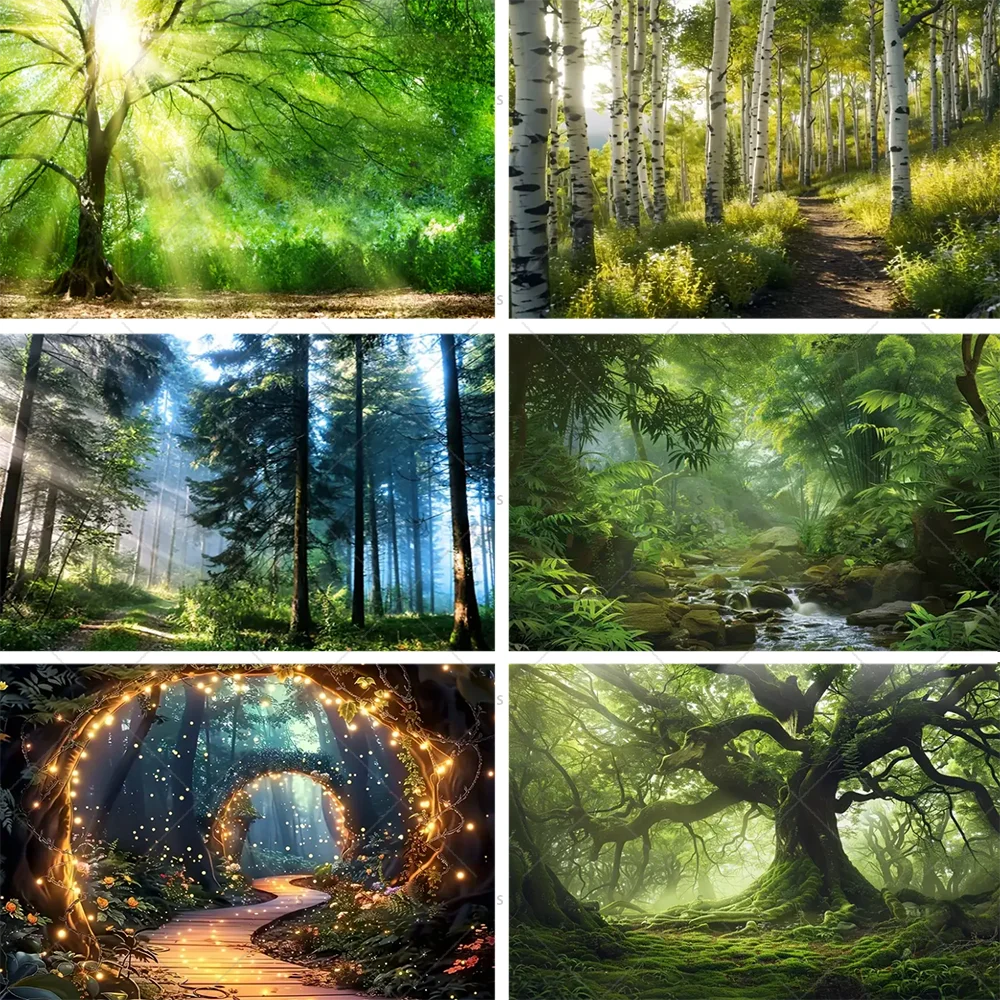 Wald Wald Naturlandschaft Hintergrund Zubehör Sommer Tropischer Baum Wunderland Fotografie Dekoration Hintergrund Fotostudio