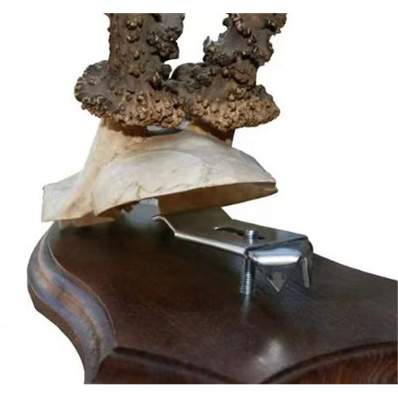 Deer Trophy Shield Mount Roe Solid Oak Trophy Plate Mount Deer Trophies Plaque Clips Metal Mount 5pcs