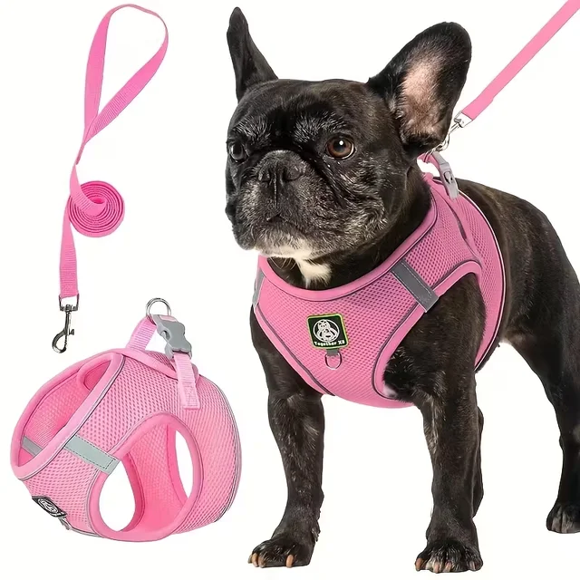 [Dog Walking Harness] 601 Small And Medium Dog Walking Harness + Leash Set 2pcs, Without Battery 3