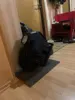Изображение товара 3