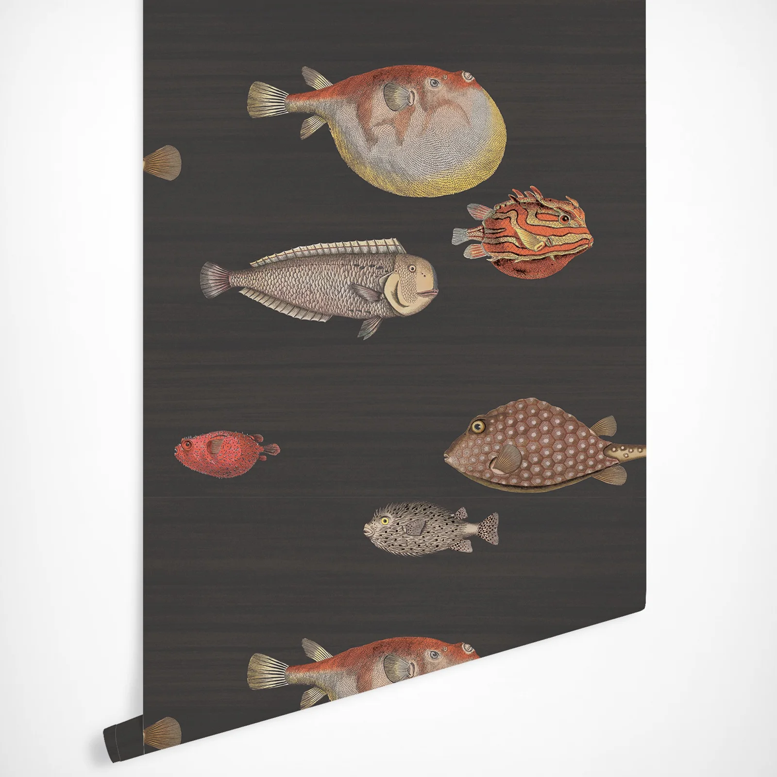 Acquario Wallpaper nordic wallpaper Dark Brown Back sea fishes in scandinavian style