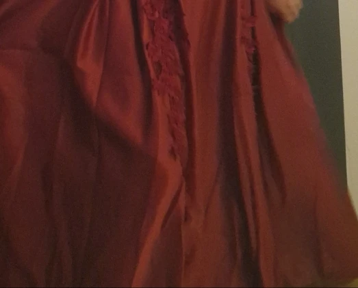 Elegant V Neck Long Sleeve Wedding Party Women Dresses for Engagement Party Evening Dress photo review