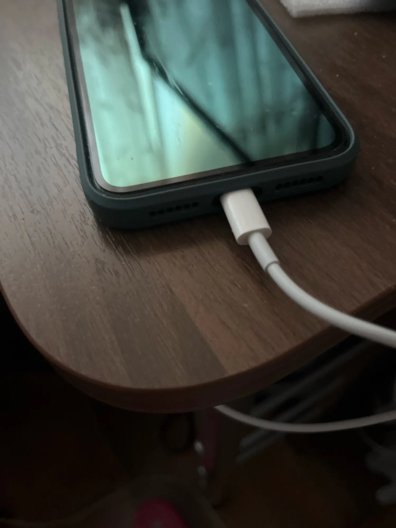 Fast Charging USB Charger Cable For iPhone 14 13 12 11 Xs Max Xr X 8 7 6 Plus iPad Origin Mobile Phone Long Data Cord 1m 2m 3m photo review