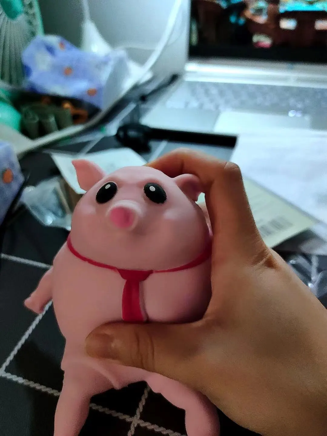 Piggy Squeeze Toy