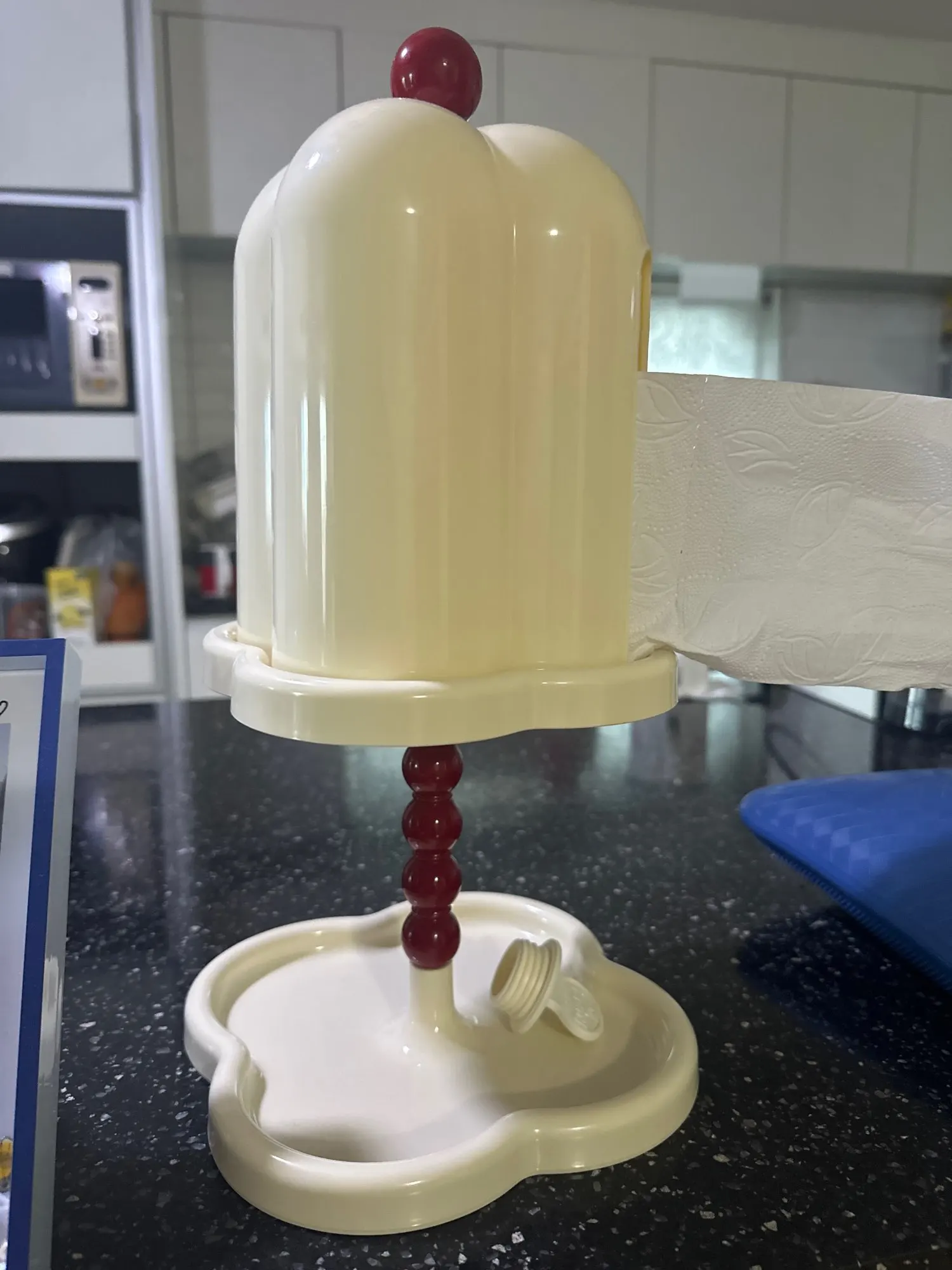 French Retro Tissue Box, customer photo