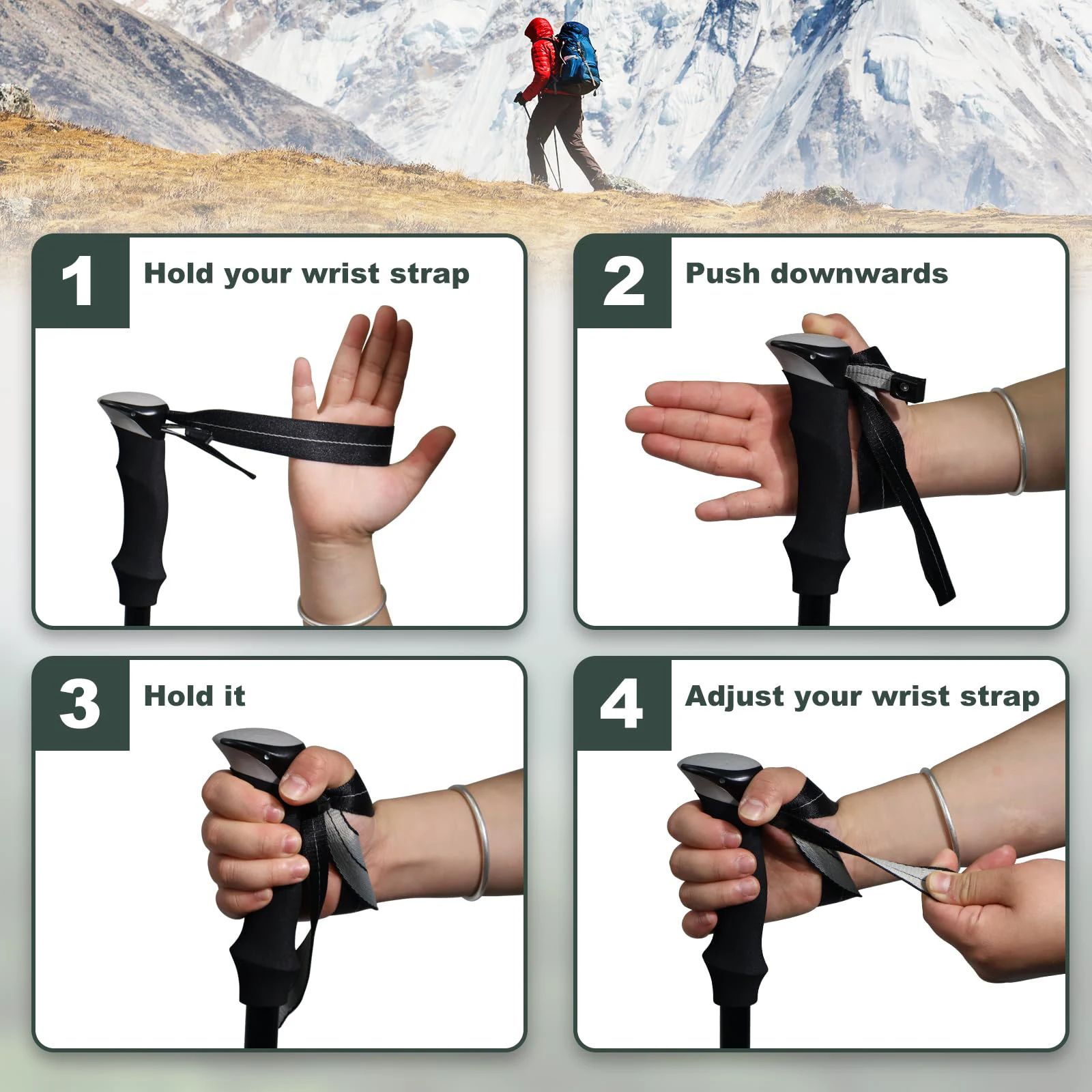 Folding Trekking Pole 2