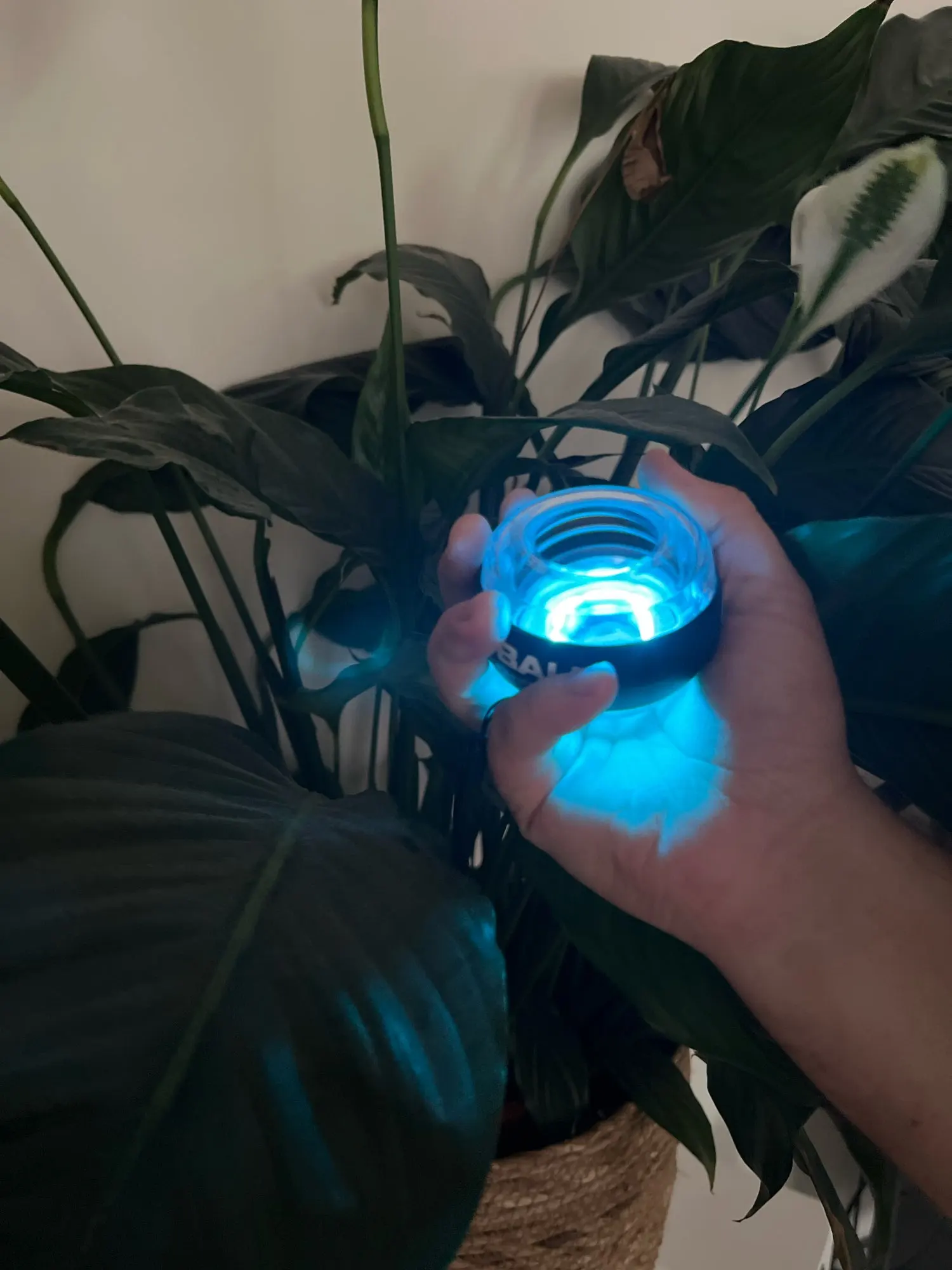 Gyroball – LED Power Ball für stärkere Handgelenke und Arme. photo review