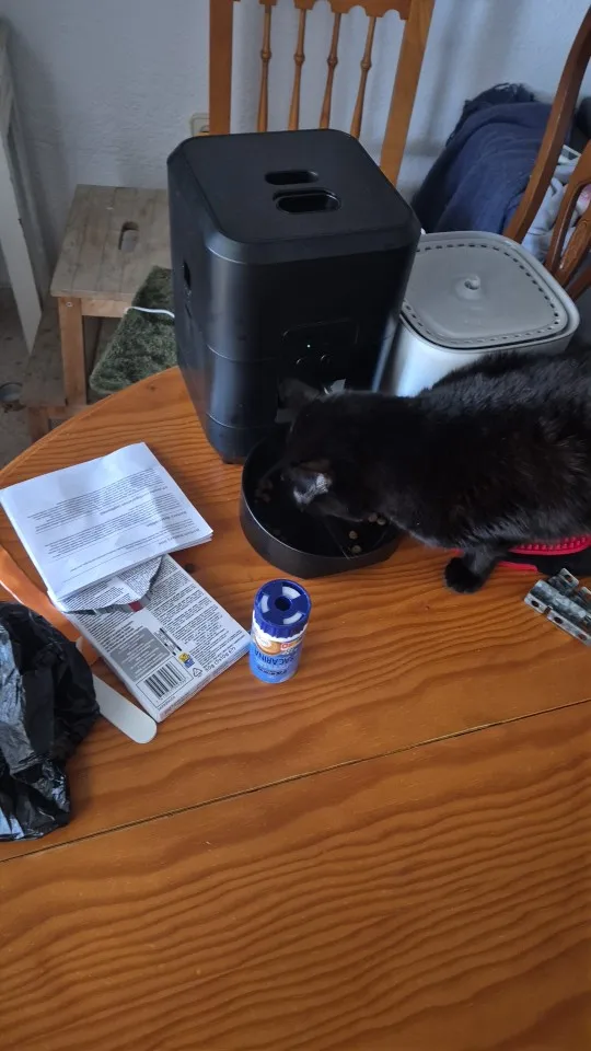 Comedero inteligente para mascotas, alimentador automático para gatos, máquina de comida lenta para perros con dispensador automático de comida para gatos cuantitativo temporizado, tazón para perros y gatos photo review