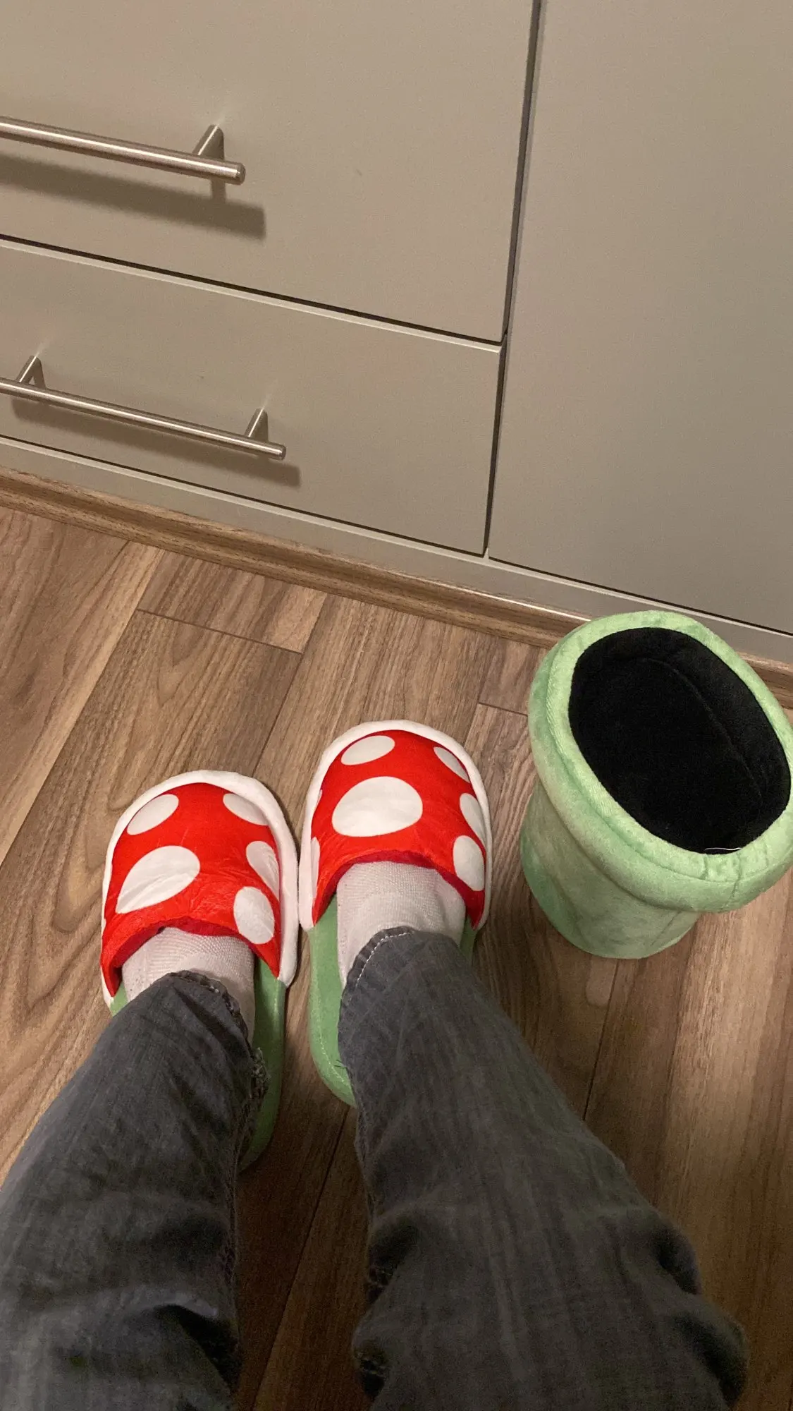 Piranha Plant Slippers