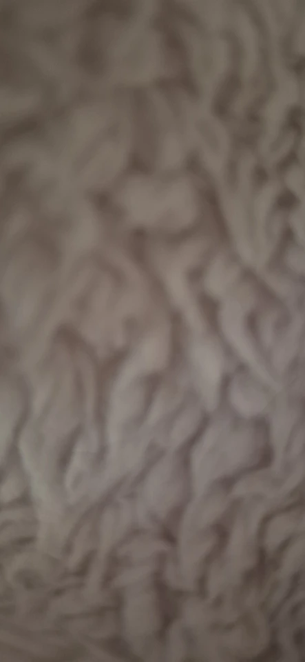 Women’s High-Waist Pleated Belted Skort photo review