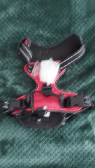 ZampaLux - La pettorina LED ricaricabile per passeggiate sicure e visibili™