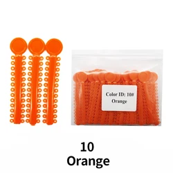 Elastic O - Type Tie - Value Pack of 1040 Pieces (40 Sticks) (Orange 10)