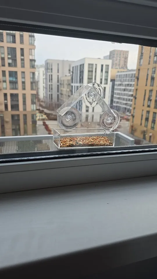 The Transparent Window Bird House