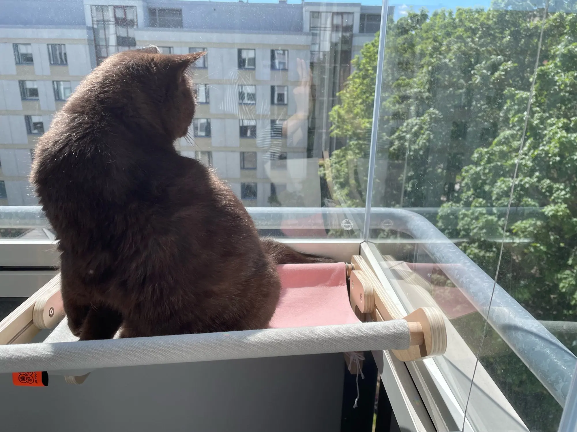 Attachment image review on Androf Cat Bed