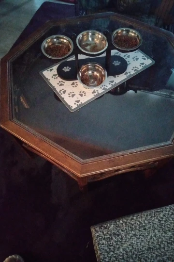 Elevated Cat Bowls