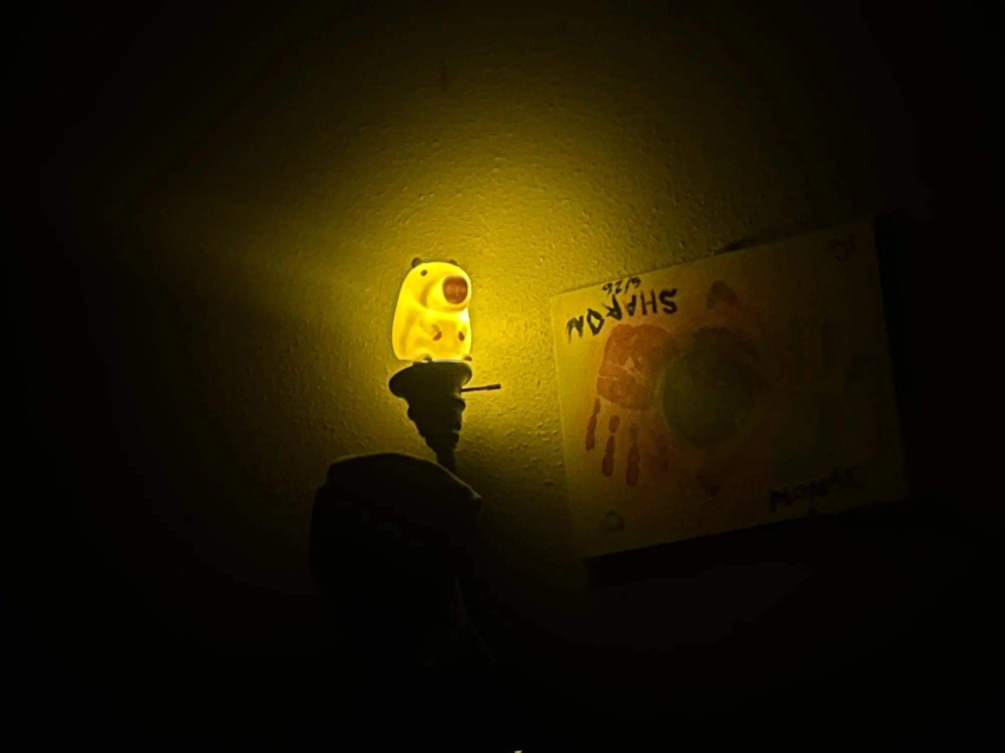 Charming Capybara Night Light for Kids photo review