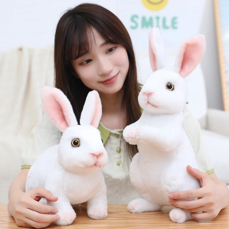 Cute White Bunny Rabbits
