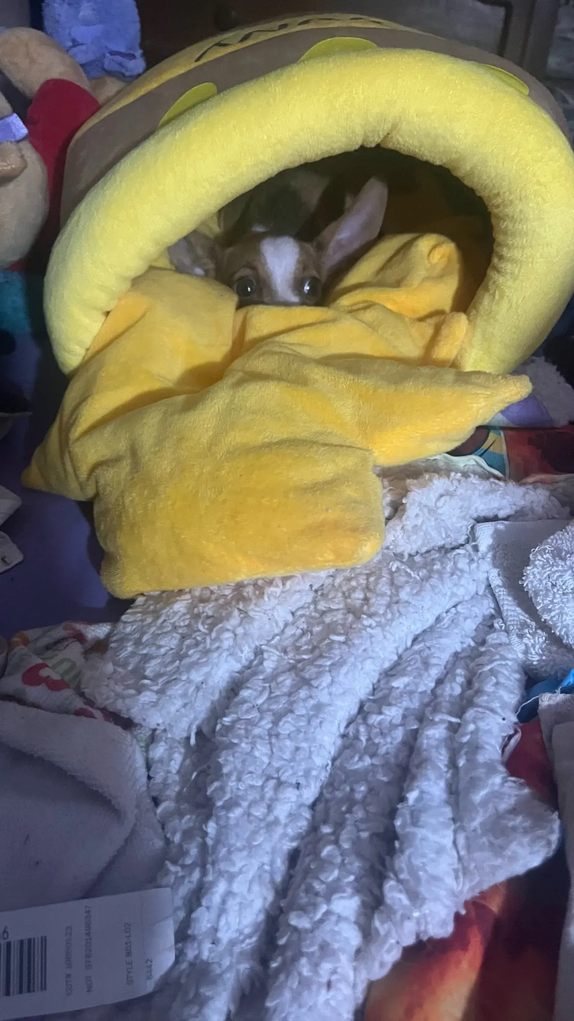 Honey Haven: Cat Bed House with Removable Plush Mat in Honey Jar Shape photo review