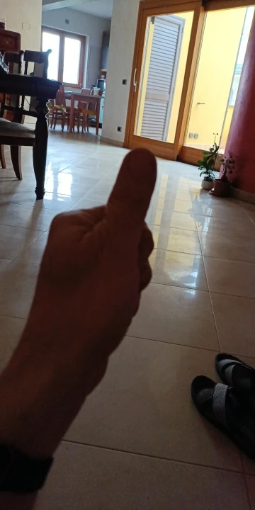 Harnais réglable pour petit chien et chat + laisse – Gilet pour Chihuahua, Bouledogue français, Carlin, promenade extérieure confortable photo review