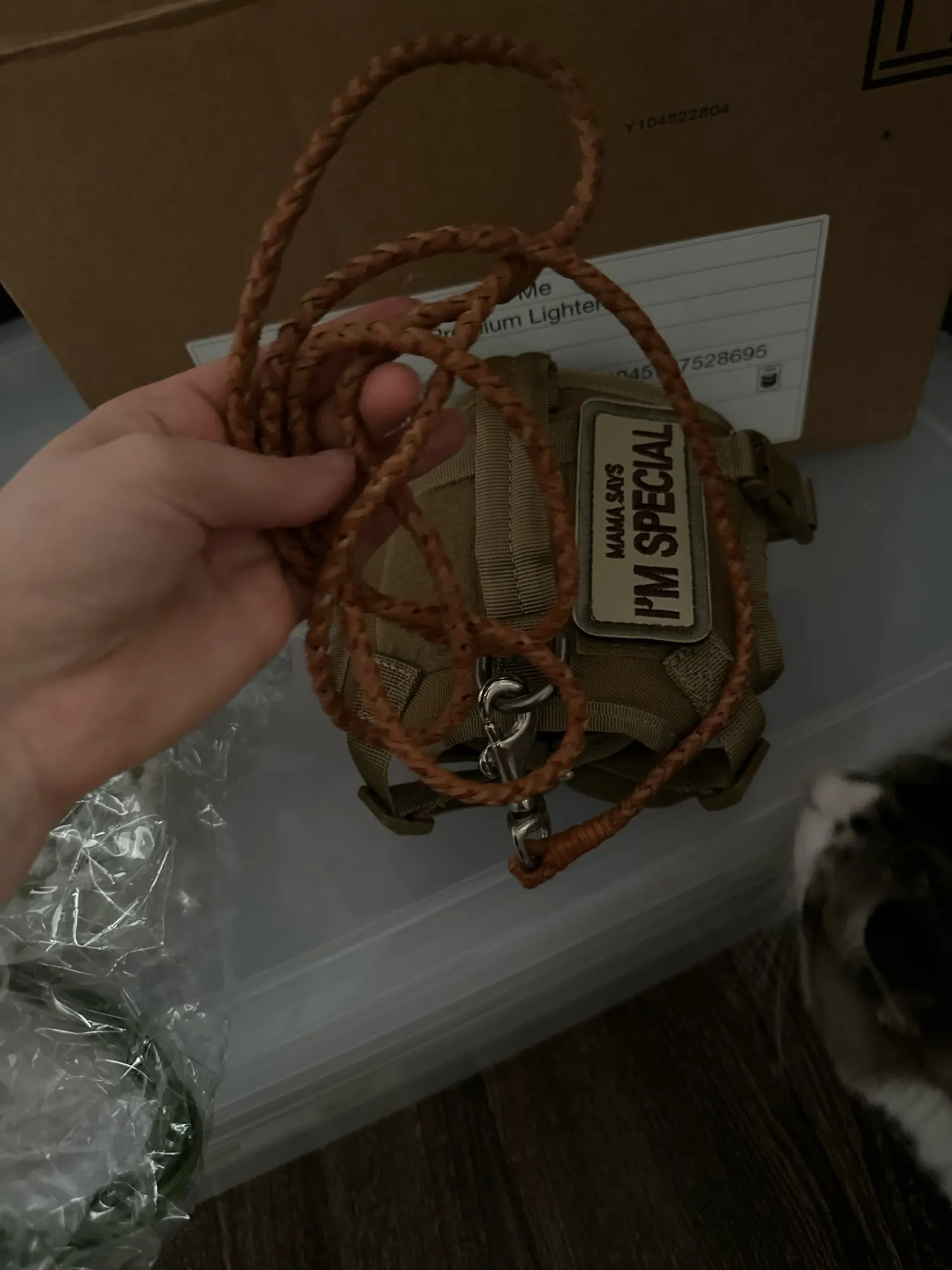 Braided Bliss: Rolled Leather Leash for Small to Medium Pets photo review