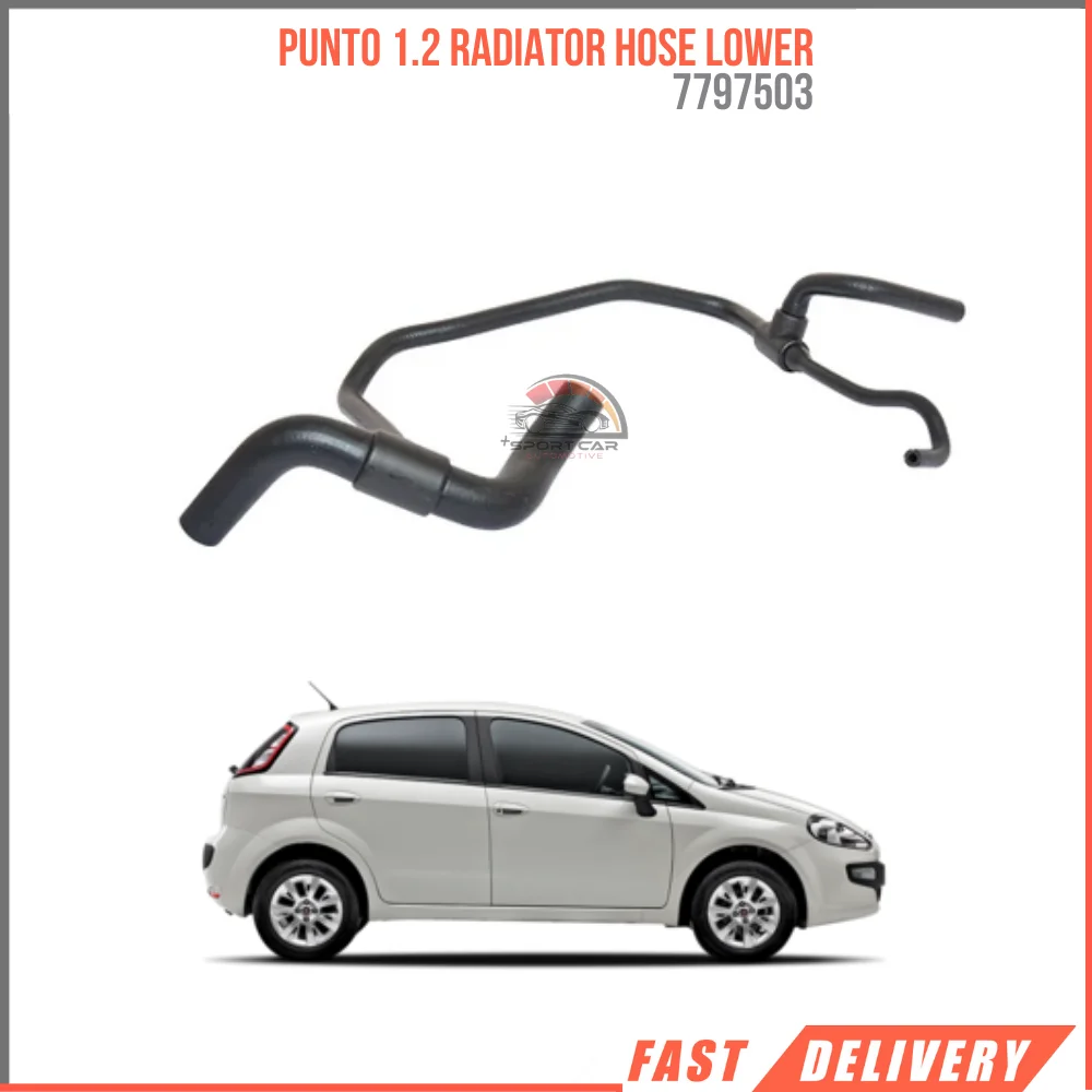 

FOR PUNTO 1.2 RADIATOR HOSE LOWER 7797503 REASONABLE PRICE FAST SHIPPING HIGH QUALITY CAR PARTS