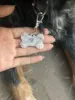 Изображение товара 4