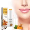 EELHOE Lip Balm for Turmeric Dark Pigmentation Remover Reduce Fine L-Ines Lightening Melanin Lip Gloss Long Lasting Cosmetics 5g 3
