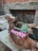 Изображение товара 1