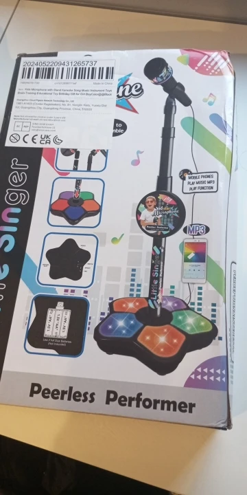 Kids Karaoke Microphone with Stand - Musical Brain-Training Toy Gift photo review