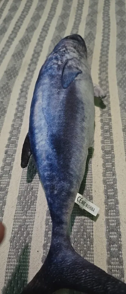 Escova Polvo Detangler para Cabelos Cacheados - Sortido - Desembarace com Facilidade e Realce a Beleza dos Seus Cachos photo review